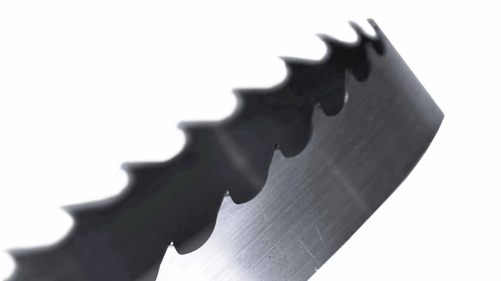 Apex Carbide Ultra-Premium Tipped Bandsaw Sawmill Blades - Image 6