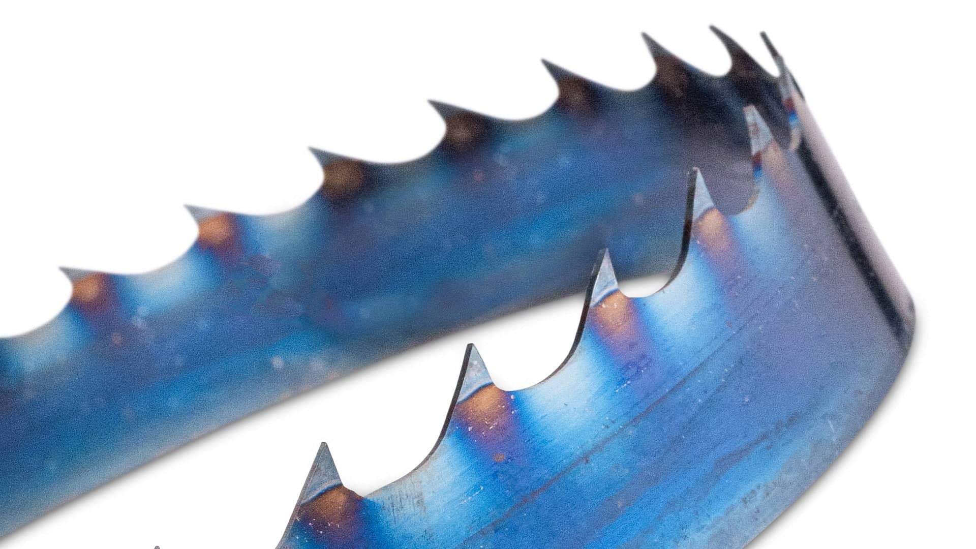 Blue Flex High Performance Bandsaw Sawmill Blades - Image 3