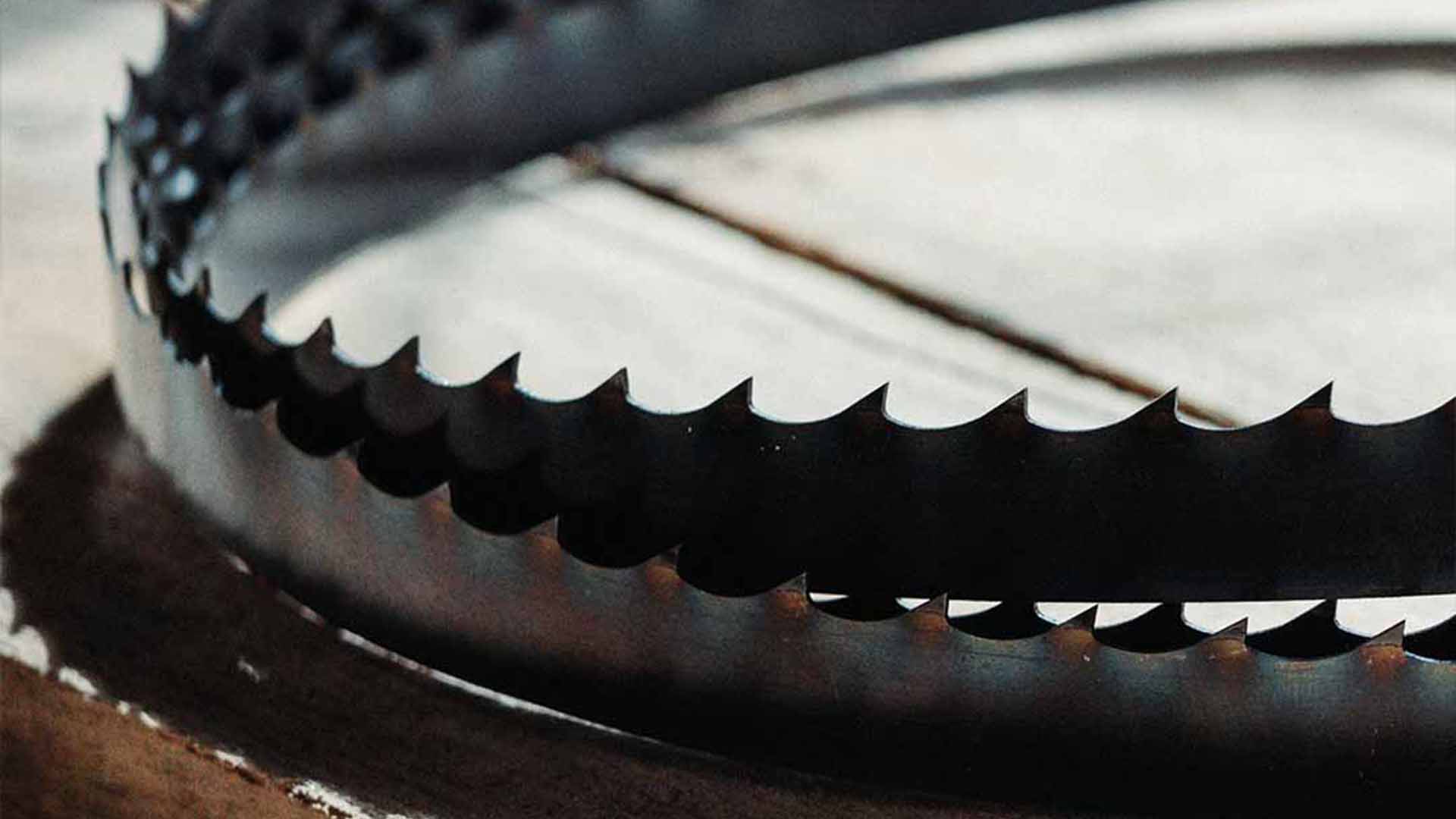 Blue Flex High Performance Bandsaw Sawmill Blades - Image 8
