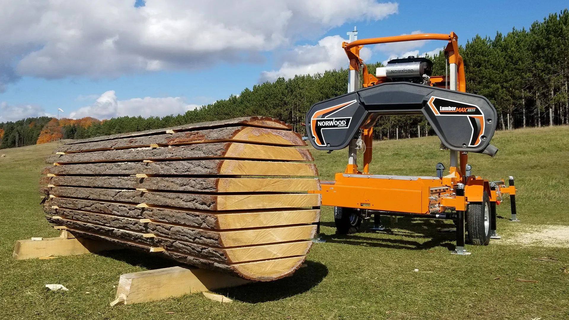 LumberMax HD38 - Image 6