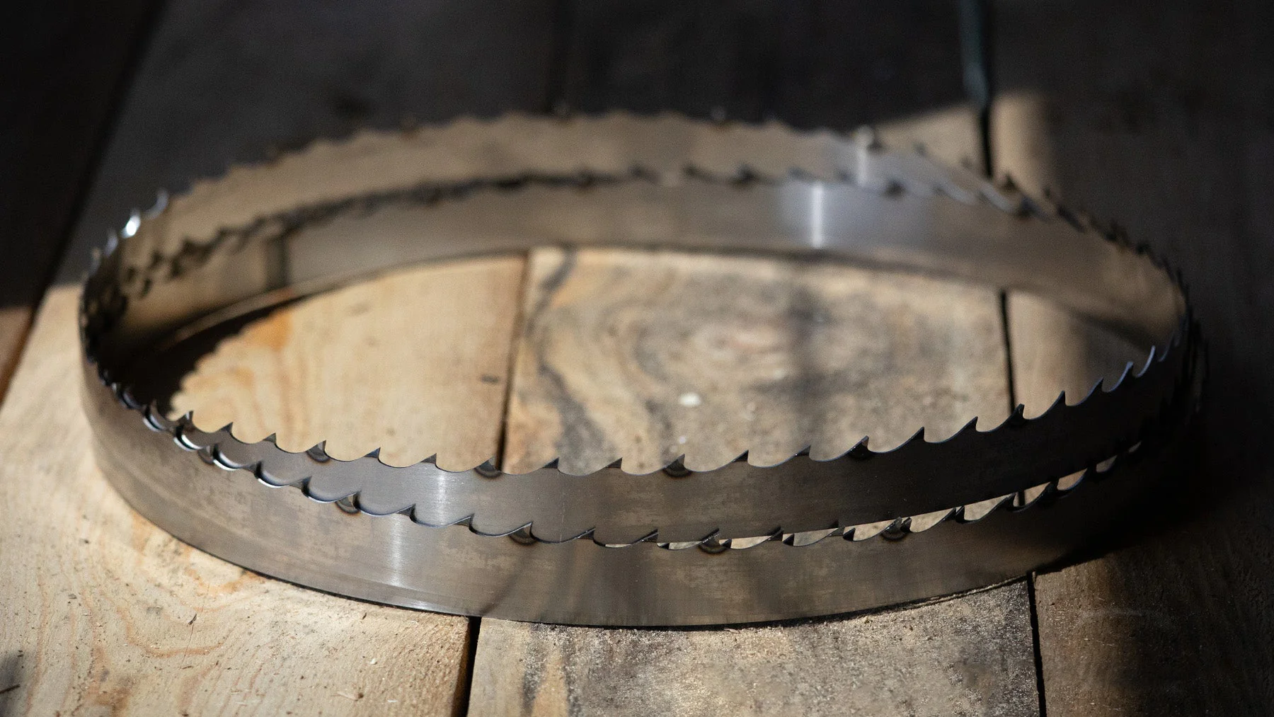 Stellicut Premium Tipped Bandsaw Sawmill Blades - Image 7